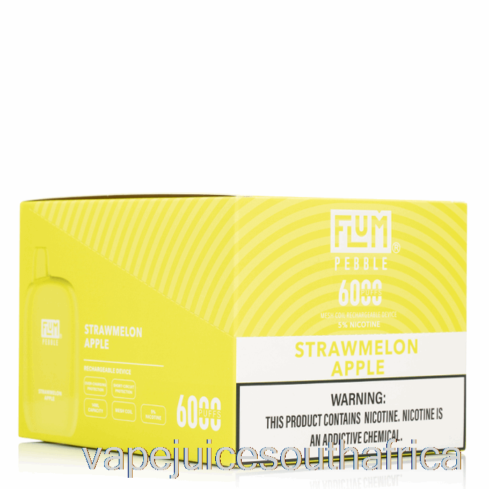 Vape Juice South Africa [10-Pack] Flum Pebble 6000 Disposable